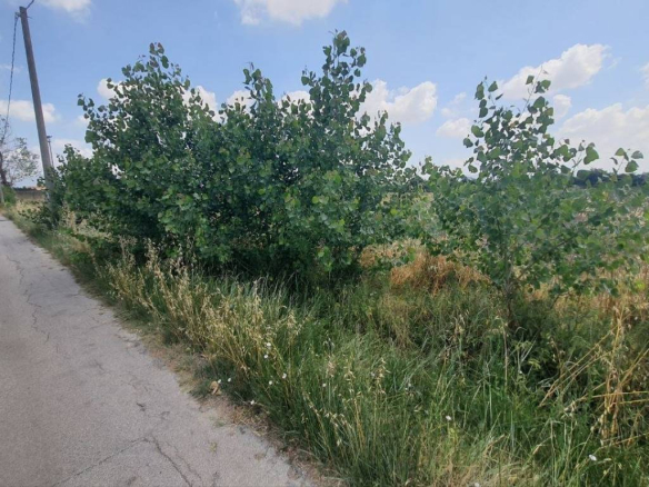 Terreno agricolo in Vendita