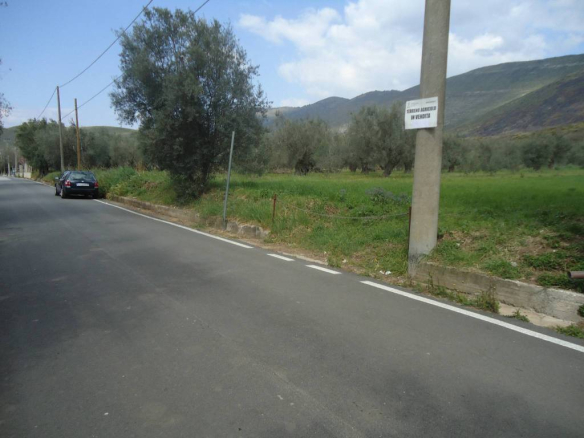 Terreno agricolo in Vendita