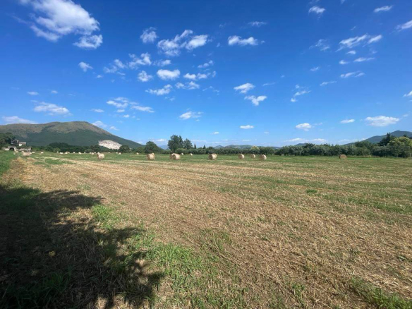 Terreno non edificabile in Vendita