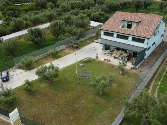 Terratetto plurifamiliare Strada Provinciale del Basso Volturno, Bellona
